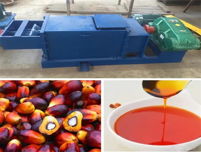palm oil processing plant for refining oil in gabon