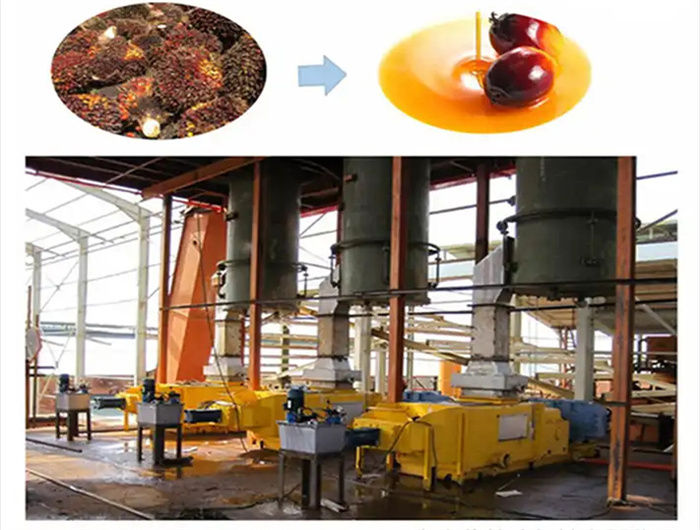 hot sale palms oil extraction equipment in mali