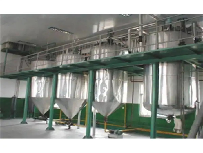 full cold press palm oil machine from in addis ababa