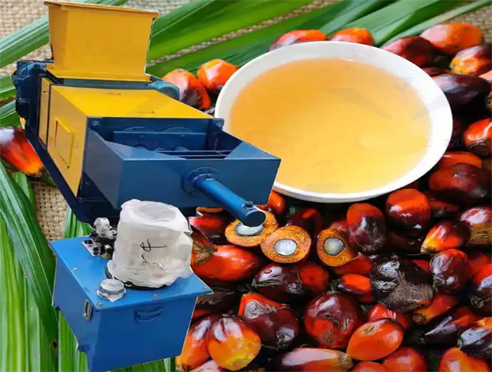 solvent palm oil extracting machinery in zambia
