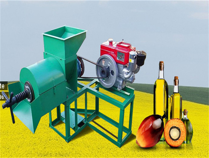 palm kernel oil pressing machine factory in niger