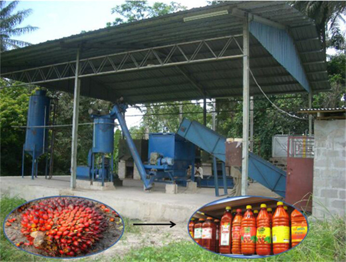 cold pressed slow drying palm oil in togo