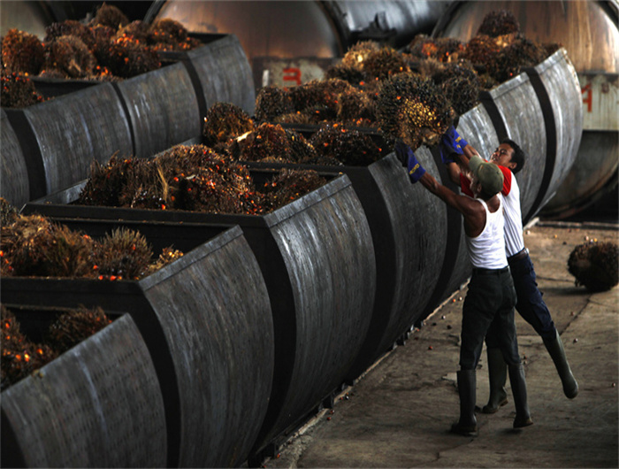 high grade big scale palm oil refining machine in cotonou