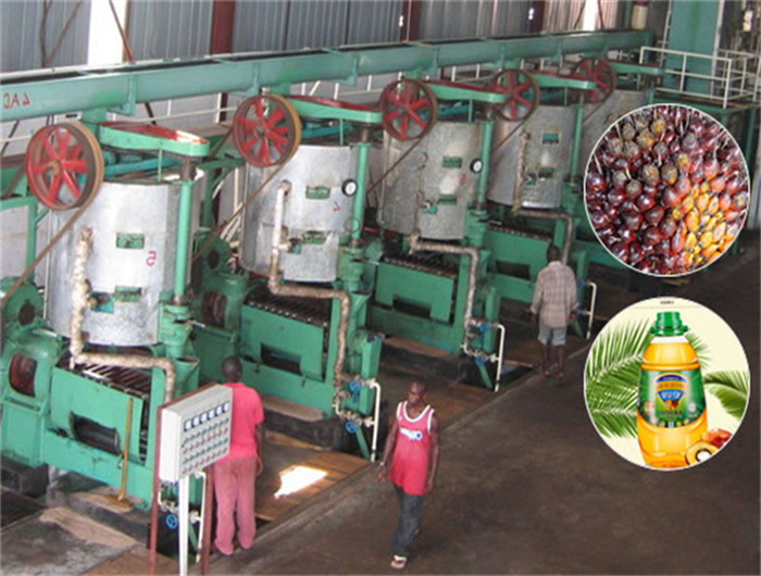 reliable high palm kernel oil extraction equipmepnt in kenya