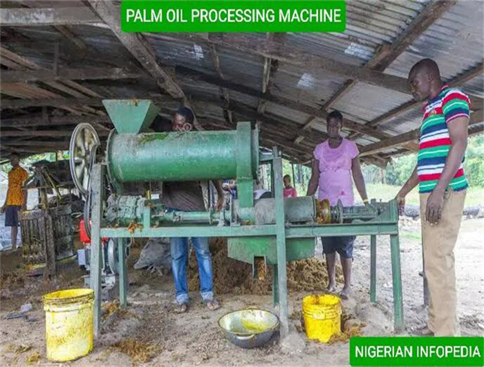 screw palm oil filter press machine in mozambique