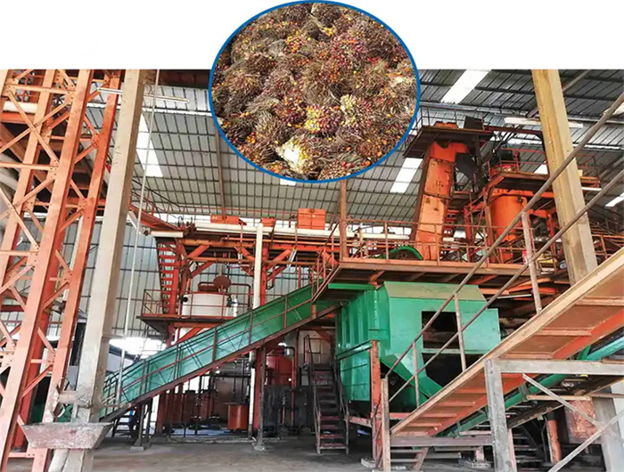 prefessional of palm kernel oil extraction machine in kenya