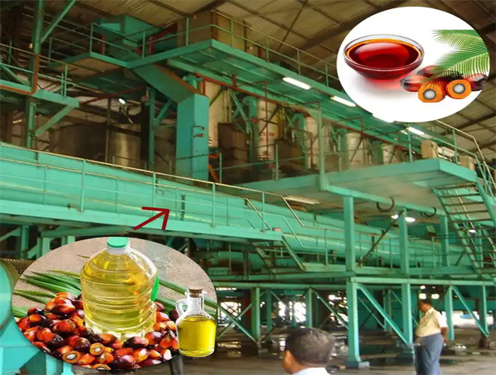 vegetable palm oil filter press machine in senegal
