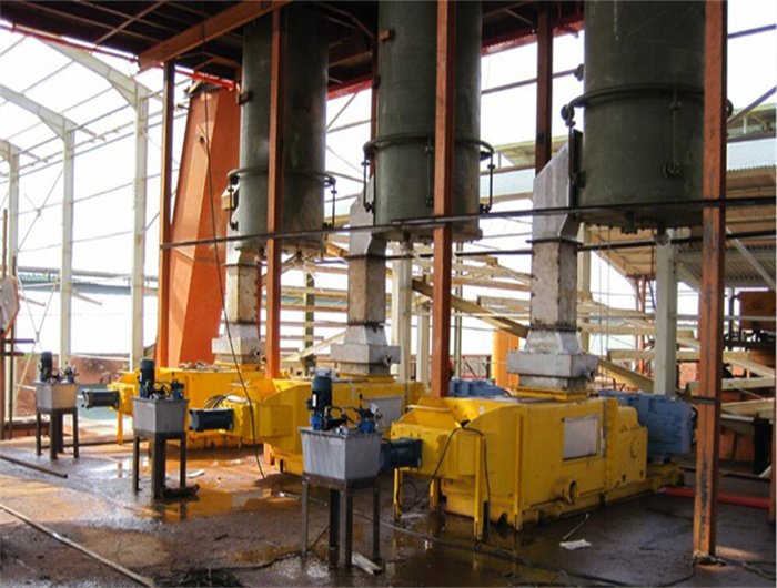 chinies palm oil extracting machine in ethiopia