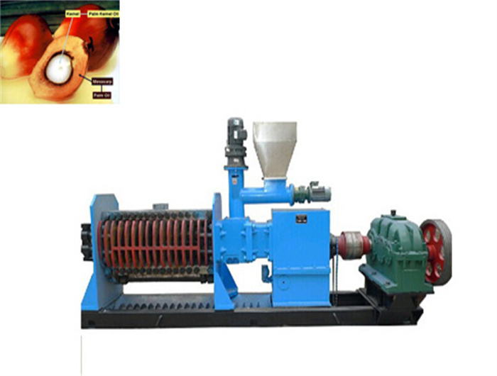 stable quality palm oil extractor